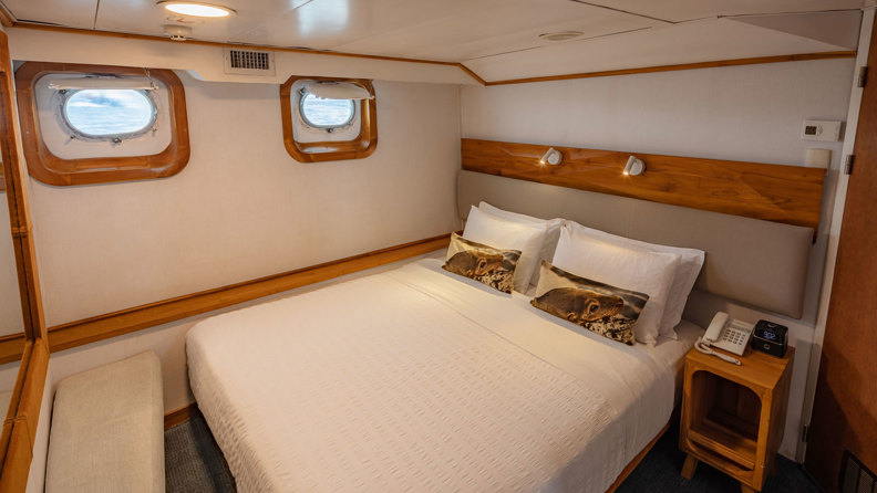 Coralistandardpluscabin