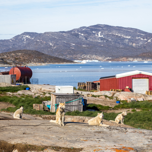 Oqaatsut_slædehunde_01