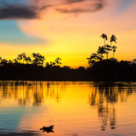 peru - amazonjunglen_02