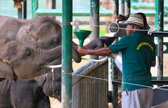 Hambantota, Sri Lanka.