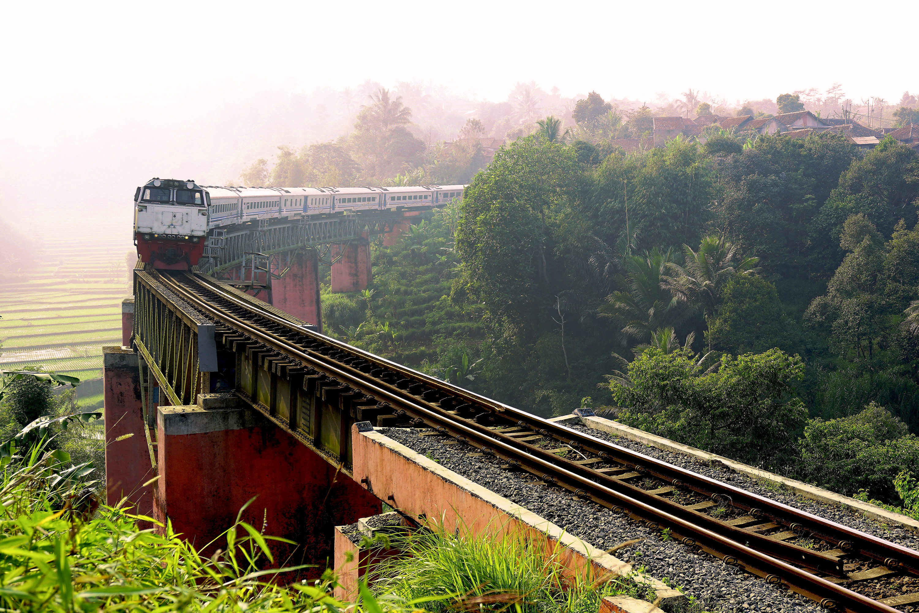 Java Togtur Ss 696259537 (1)