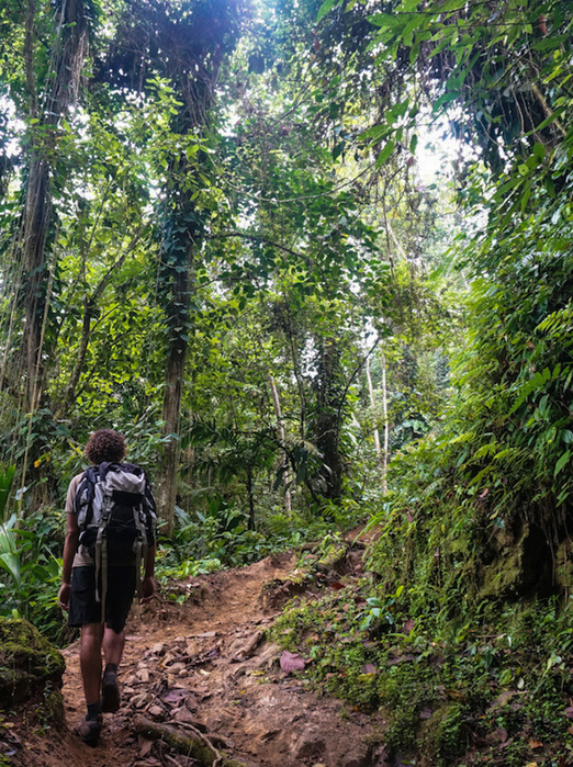 colombia - the lost city_02
