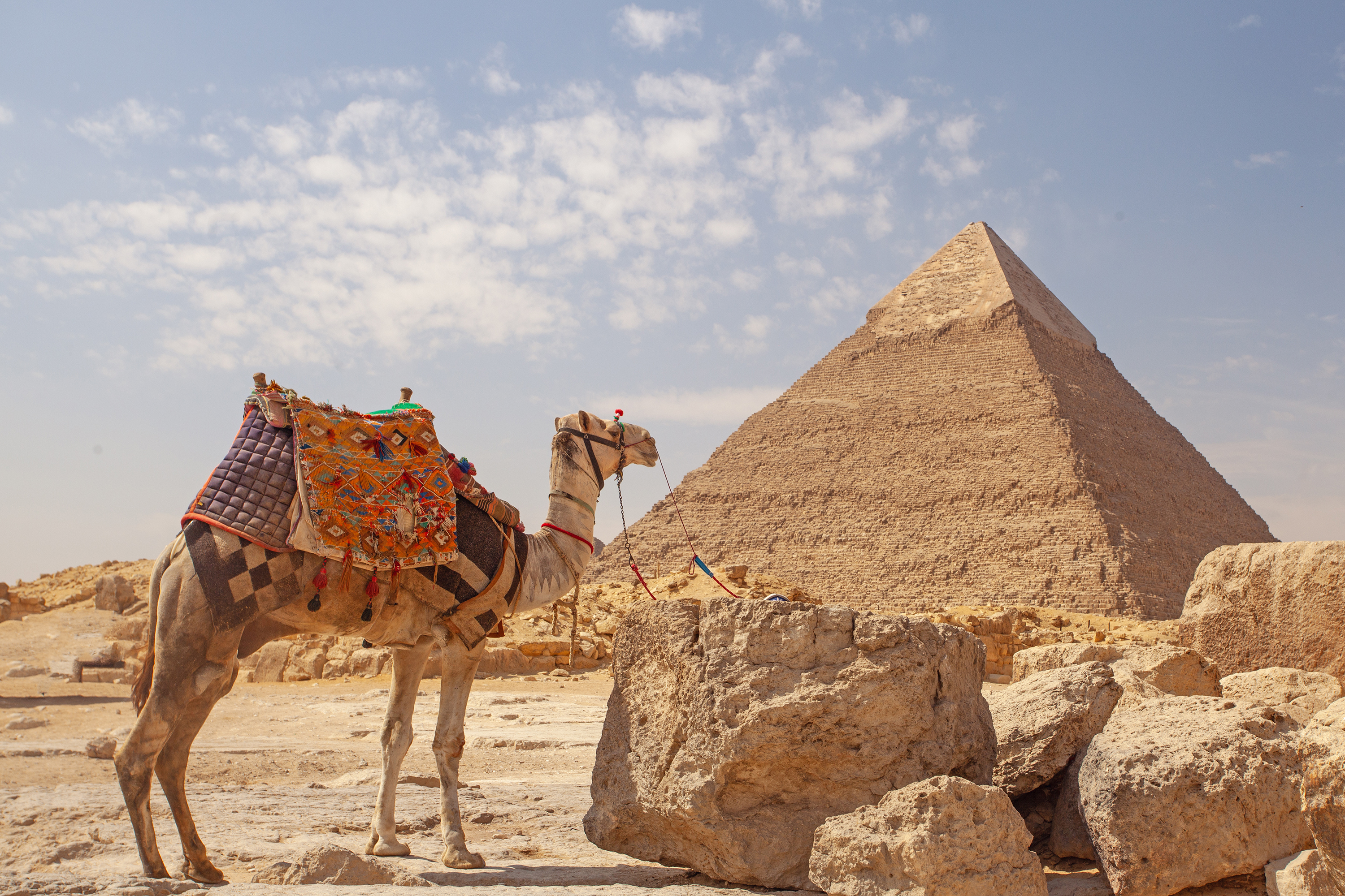 Giza Kamel Gi 2242285060