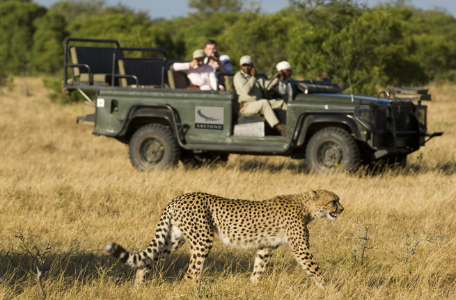 sydafrika - ngala safari lodge_ranger_jeep