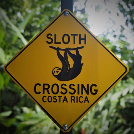 Costa Rica Kør Selv2