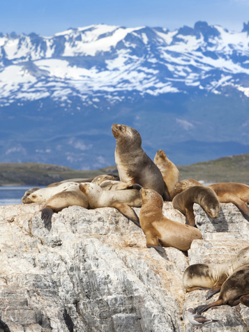 argentina - ushuaia_33.02