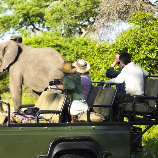 sydafrika - sydafrika_natur_elefant_mennesker_01
