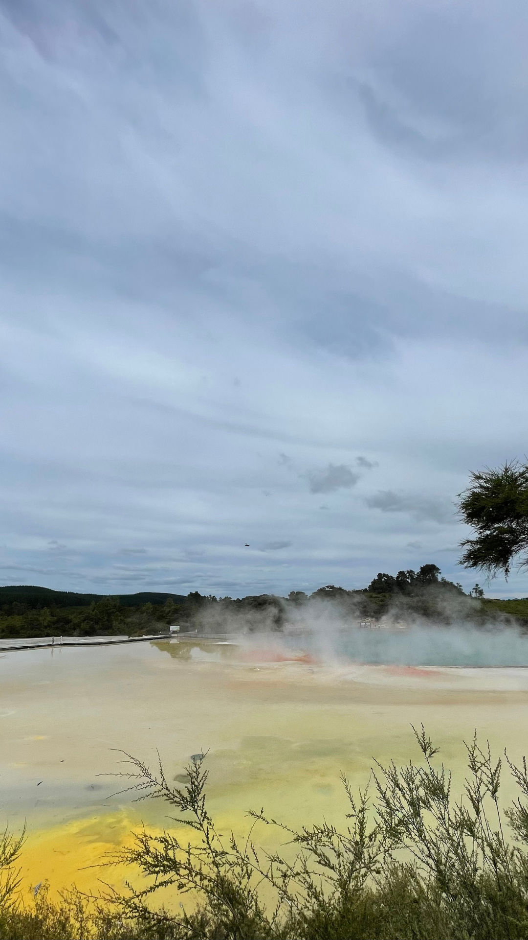 Rotorua NZ (2)