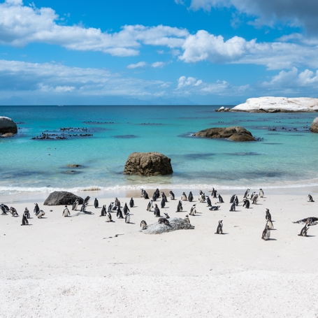 Bouldes Beach, Sydafrika