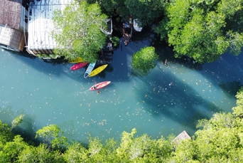 Koh Kood Kayak I Mangrove Oppefra