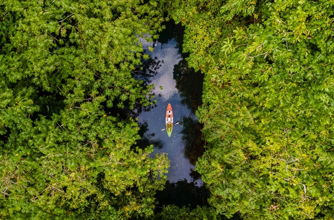 Kayak Mellem Mangrovetræer Luftfoto
