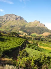 sydafrika - franschhoek_vinmark_01