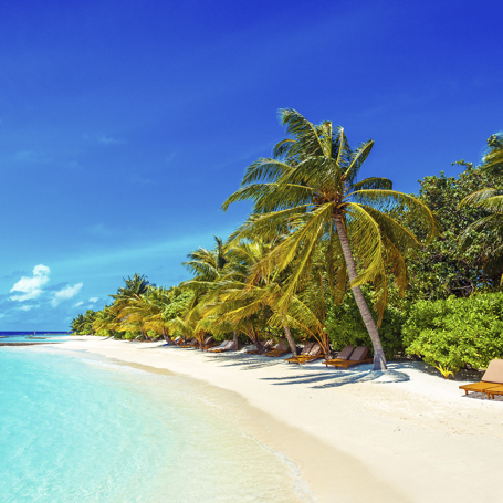 lily beach resort_strand_01