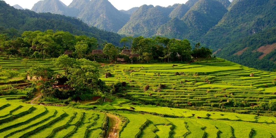 vietnam - pu luong_rismark_01