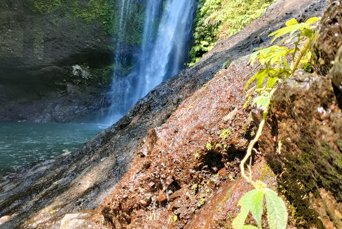 bali - Aling Aling_vandfald_03