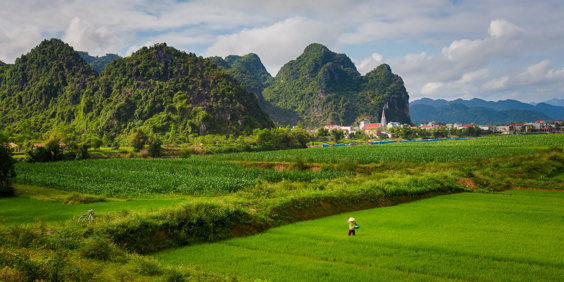 Phong Nha National Park Rismark 01