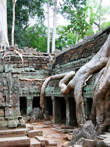 Angkors smukke og mystiske templer