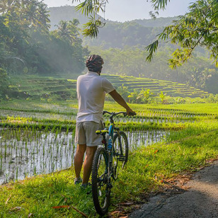 Cykeltur blandt rismarkerne