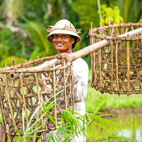 bali - bali_befolkning_mand_kurv_01_HF