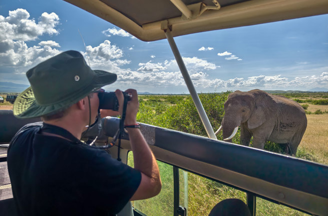 Afrika Elefant Fotograf