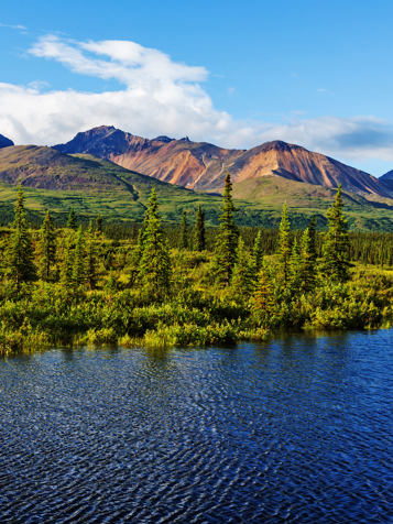 denali national park_soe_skov_02
