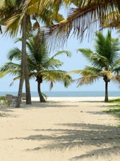 indien - mararikulam_strand