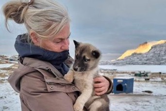 Grønland Dorte Hund Vandret