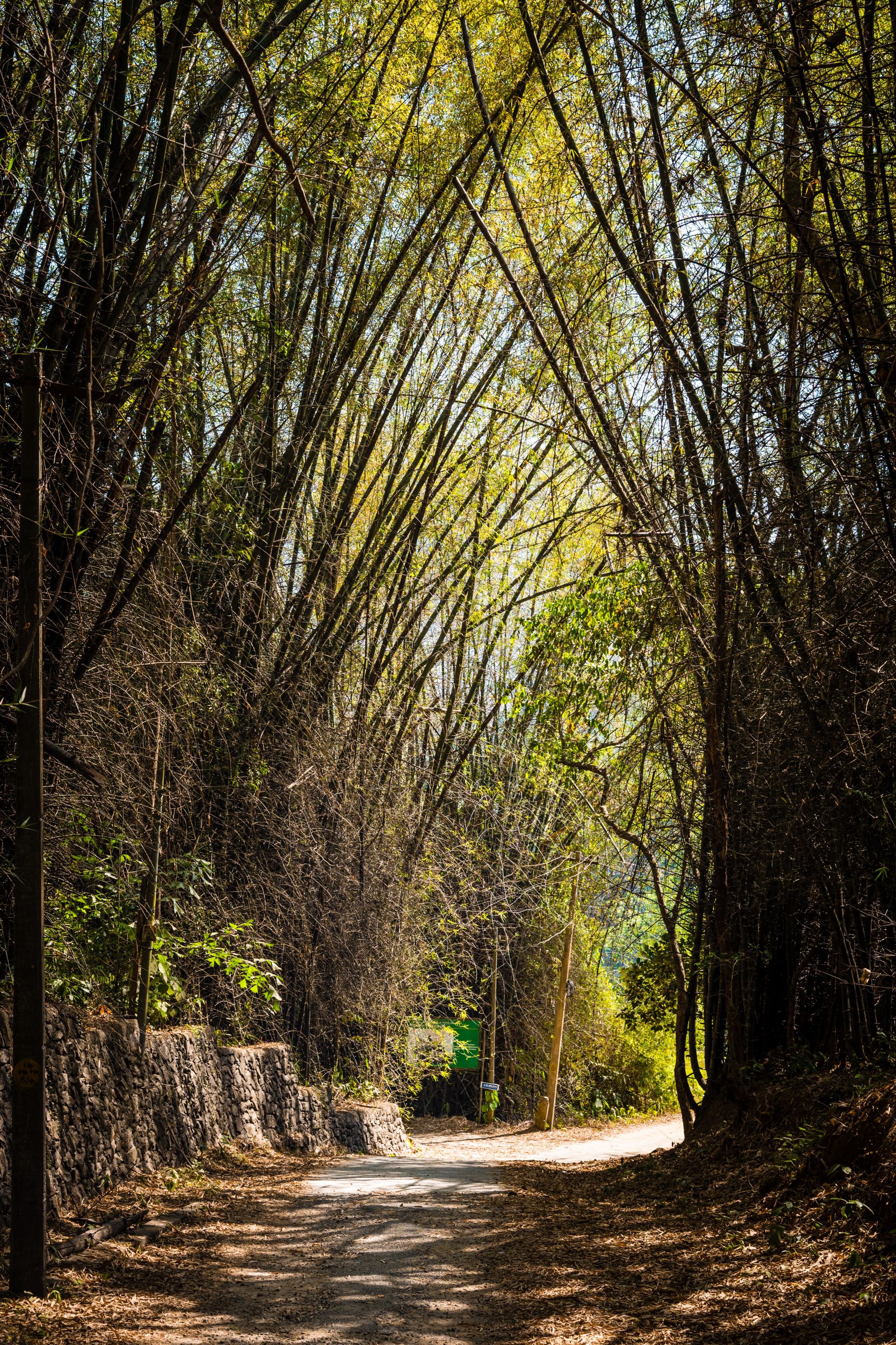 Thattekad Bird Sanctuary Kerala Sti 1045181941
