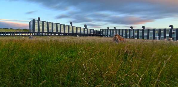 chile - remota patagonai_01