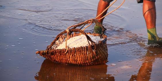 Kompot Saltmark GT 1387624569