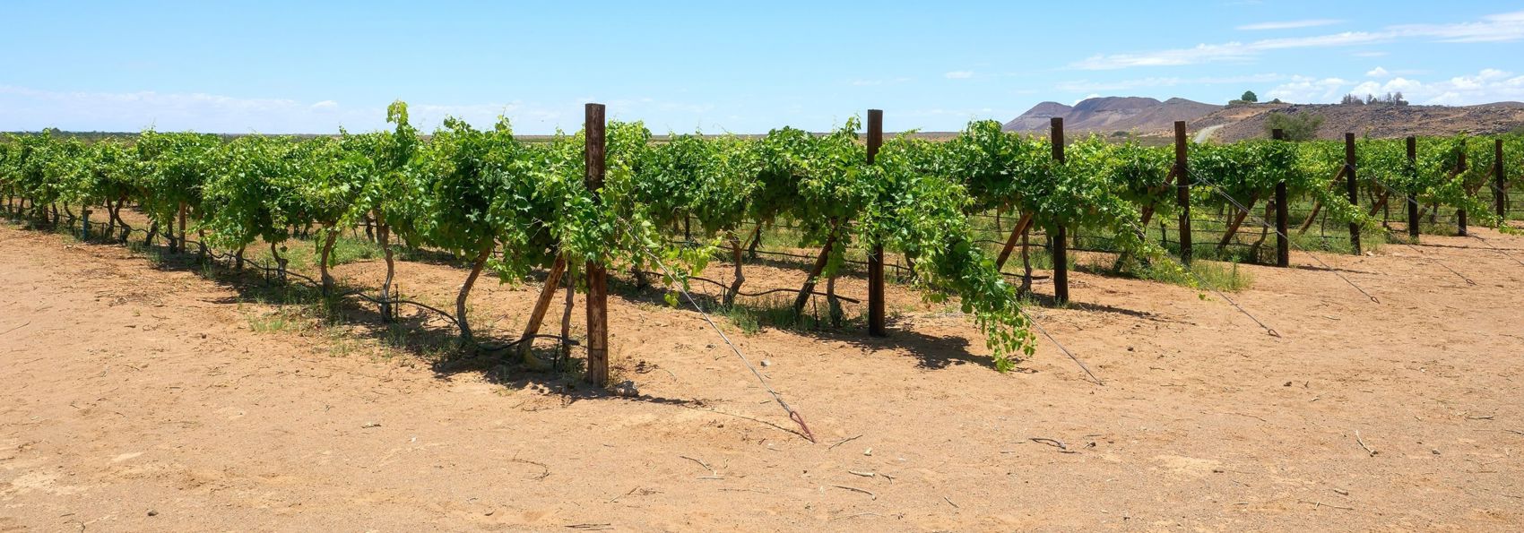 Namibia Vinmark 2470407613