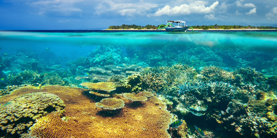 bali - gili_meno_koraller_01