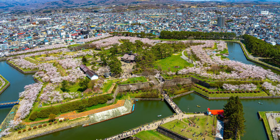 Hokkaido Hakodate Fort Goryokaku Panorama Forår