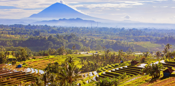 bali - bali_jatiluhwi_rismarker_01