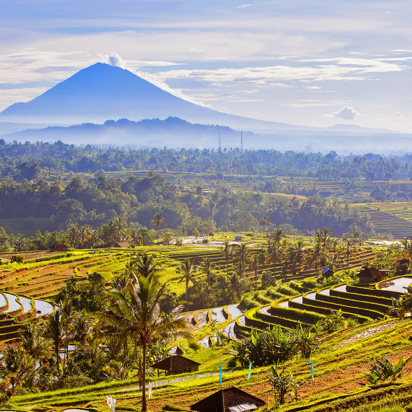 bali - bali_jatiluhwi_rismarker_01