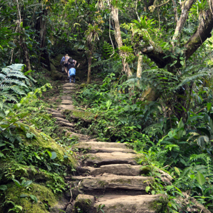 colombia - the lost city_04_hf