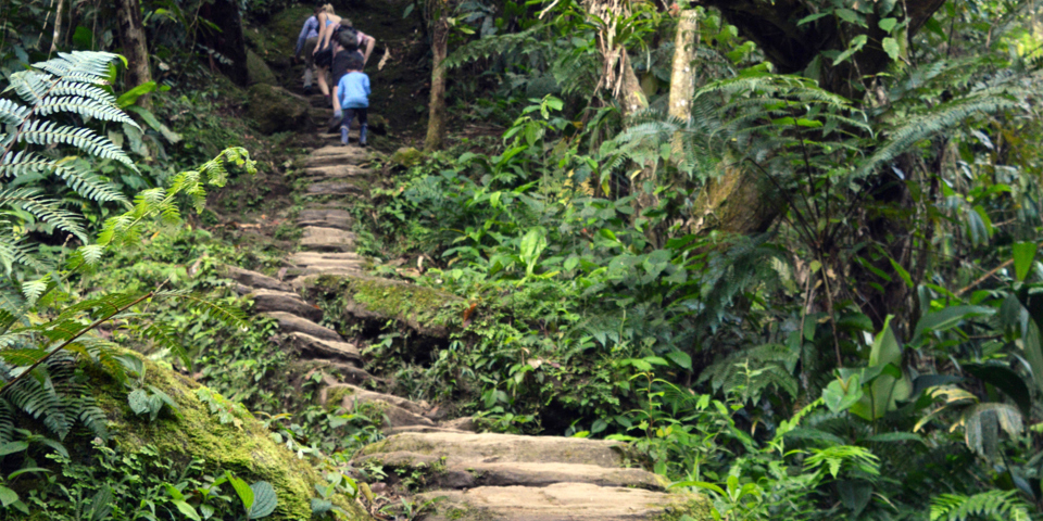 colombia - the lost city_04_hf