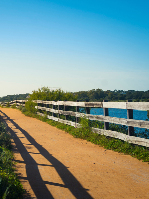 Algarve Ria Formosa 07 Shutterstock 2458329397