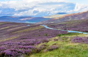 Cairngorms nationalpark_03