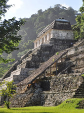 mexico - Mexico_Palenque_ruiner_01