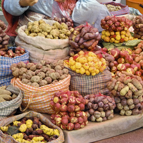 la paz_groentsager_02