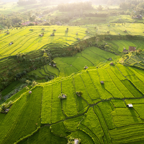 Bali Sidemen Rismark As 640130359