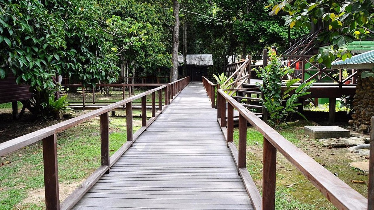 Sukau Greenview Lodge Boardwalk