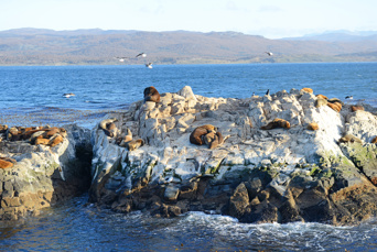 argentina - beagle channel_09