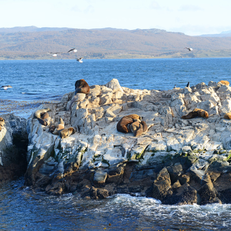 argentina - beagle channel_09