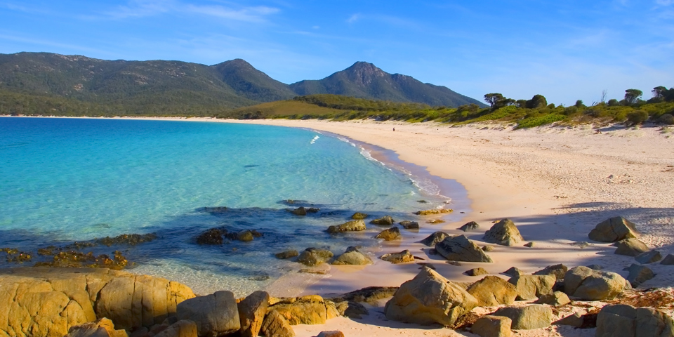 Tasmanien Wineglass Strand GT 522779783