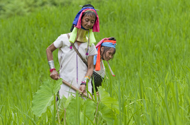 thailand - mae hong son_befolkning_long neck_01