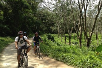 Kota Kinabalu Tuaran Cykel Udflugt 02