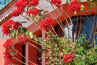 El Fuerte Mexico Red Building With Red Flowers 2637513663