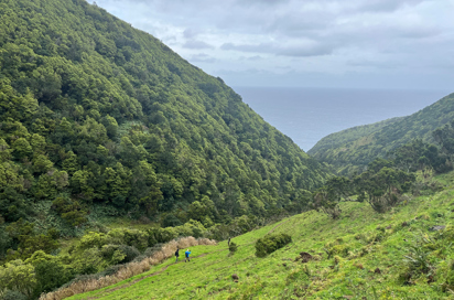 azorerne_sao_jorge_serra_do_topo_til_faja_do_cubres_vandring_07